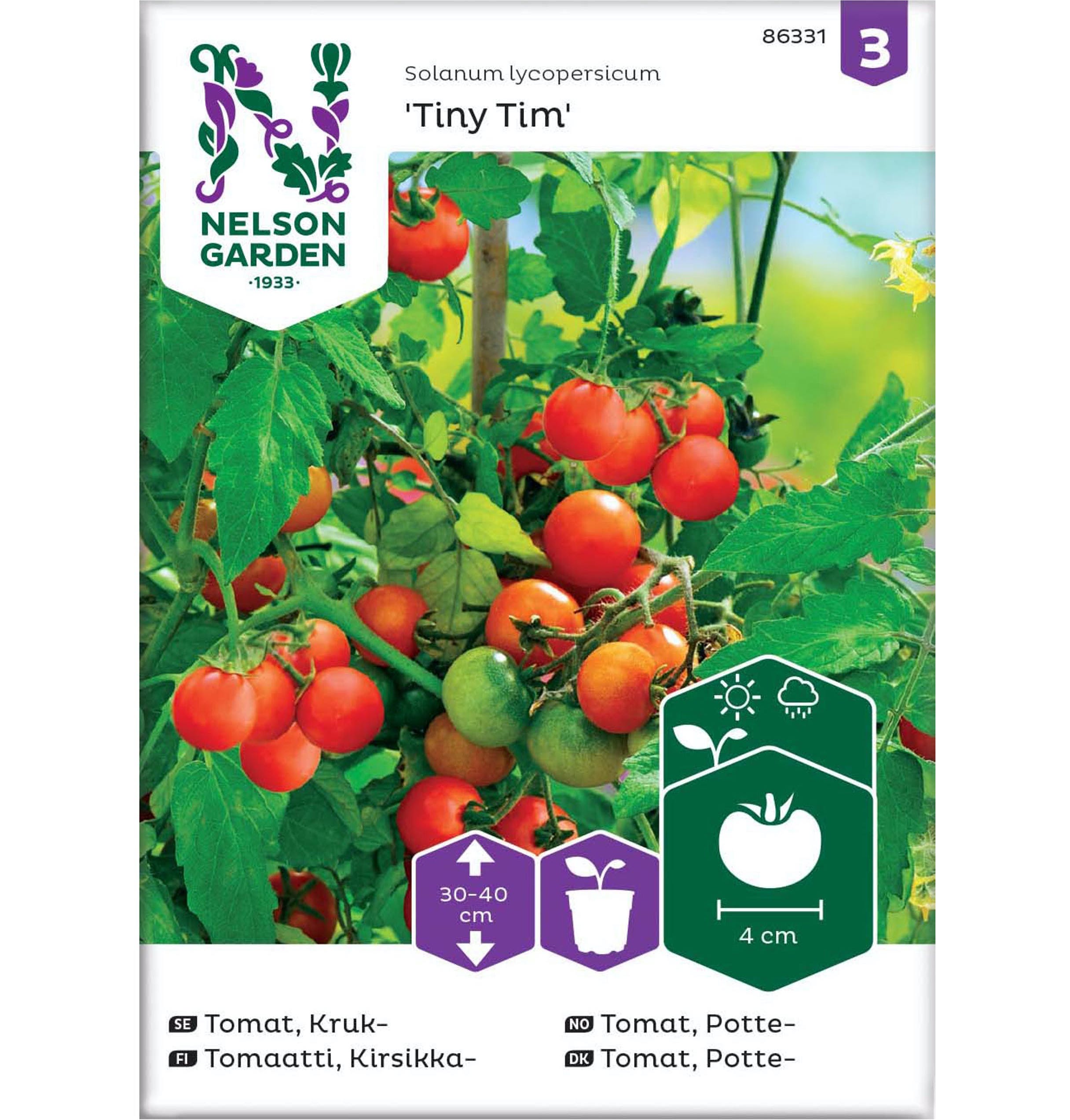 Odla tomater inomhus - Tiny Tim