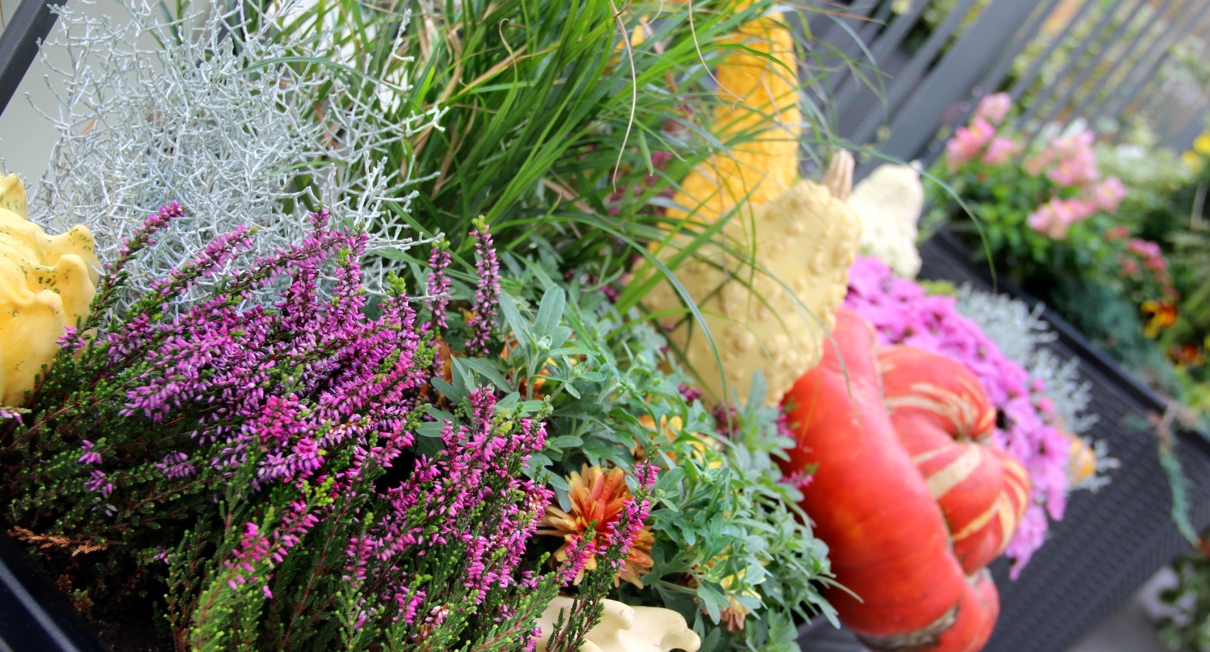 Blomster Host