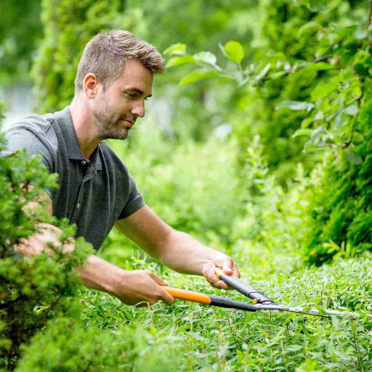 Klippa buxbom - hacksax-fiskars-powergear-hsx92