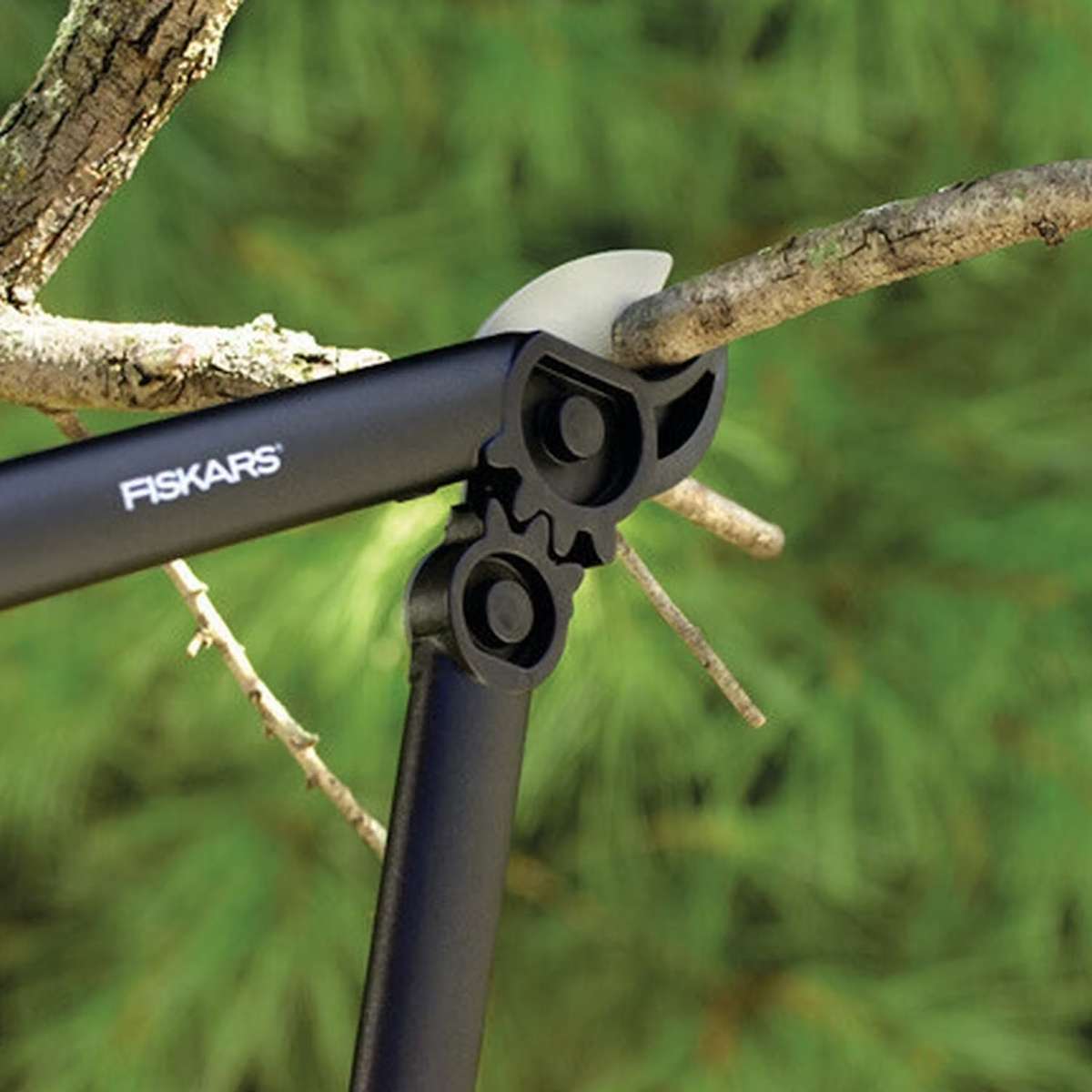 Beskära päronträd - grensax-fiskars-powergear-mothall-l31